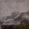 Stream & download Woodland - Single