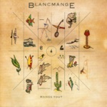 Blancmange - Blind Vision