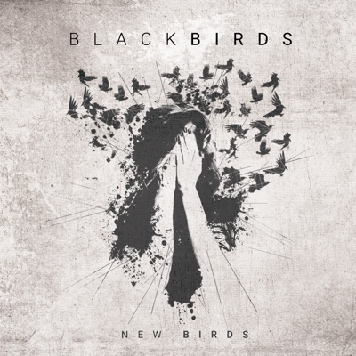 New Birds - Blackbirds