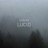 Lucid