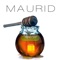 Honey Pot (Enrico BSJ Ferrari Nu Disco Remix) - Maurid lyrics