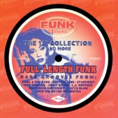 Funk Essentials: The 12" Collection and More - Full-Length Funk, 1999