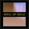Soul of Gold song lyrics
