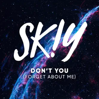 Don't You (Forget About Me) by SKIY song reviws