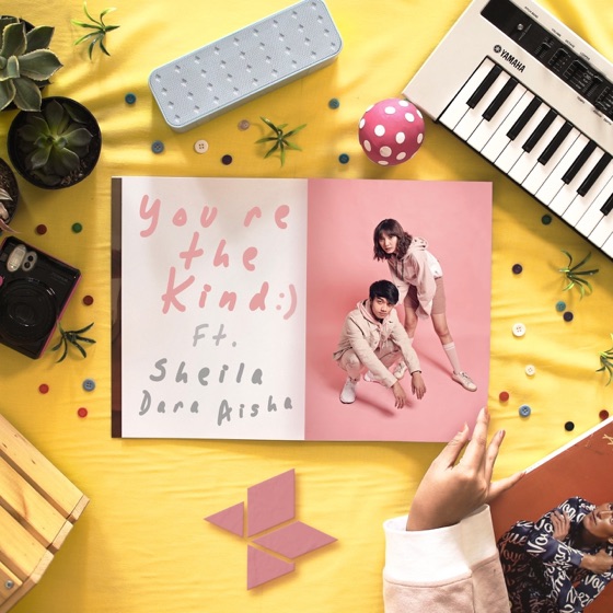Cover artwork for You're The Kind (feat. Sheila Dara Aisha)