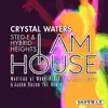 I Am House (The Remixes) album lyrics, reviews, download