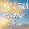 Can't Lose My Joy (feat. Aloe Blacc) - Single album lyrics, reviews, download