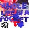 Whole Life In A Pocket - Single artwork