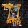 Shawn Storm and Friends Real Life, Vol. 1