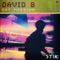 Day Mission (Alternative Rmx) - David B lyrics
