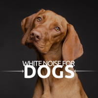 Dog Whisper - White Noise for Dogs - Isochronic Tones & Sounds of Nature for Tense Animals artwork