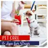 Pet Care & Spa for Dogs - Healing Music for Beauty Salon, Relaxation, Relieve Anxiety, Quiet Time album lyrics, reviews, download