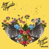 Big Gigantic - Got the Love (feat. Jennifer Hartswick)