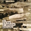 I Wish I Woulda' Known - Single