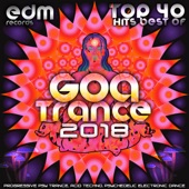 Goa Trance 2018 - Top 40 Hits Best of Progressive PsyTrance Acid Techno Psychedelic Electronic Dance artwork