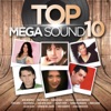 Top Mega Sound Vol. 10