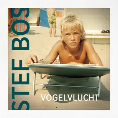 Vogelvlucht - Single - Stef Bos