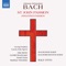 St. John Passion, BWV 245, Pt. 1: No. 1, Herr, unser Herrscher artwork
