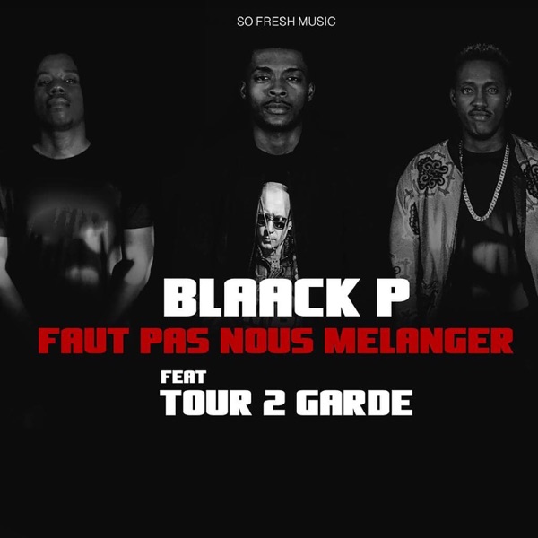 Faut pas nous mélanger (feat. Tour 2 Garde) - Single - Blaack P