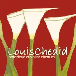 Botanique et vieilles charrues (Live) - Louis Chedid