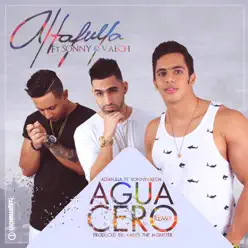 Aguacero (Remix) [feat. Sonny & Vaech] - Single - Altafulla