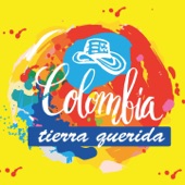 Mosaico de Cumbias : Cumbia del Caribe / San Felipe / Colombia Tierra Querida / Uepa Je / Yo Me Llamo Cumbia / La Cumbia Cienaguera (Colombia Tierra Querida) artwork