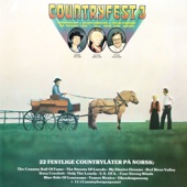 Countryfest 3 artwork