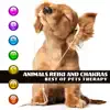 Animals Reiki and Chakras: Best of Pets Therapy, 30 Soothing Sounds for Calm Down and Relax album lyrics, reviews, download
