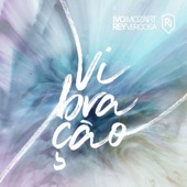 Vibração artwork