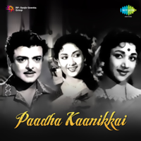 Viswanathan - Ramamoorthy - Paadha Kaanikkai (Original Motion Picture Soundtrack) artwork