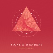 Signs and Wonders artwork