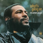 Marvin Gaye - Inner City Blues (Make Me Wanna Holler) [Mono Single Version]