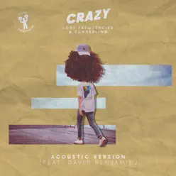Crazy (feat. David Benjamin) [Acoustic Version] - Single - Lost Frequencies
