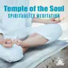 Stream & download Temple of the Soul: Spirituality Meditation, Deep Thoughts, Hypnosis, Find Your Way, Yoga, Inner Harmony & Tranquility, Sakral Chants, Enlightenment Moments, Peace & Clear Mind