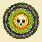 Turtle Skull - Take It or Leave It