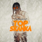 Top Skanka artwork