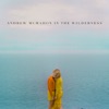 Andrew McMahon In the Wilderness, 2014