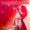 Wild Thoughts (feat. Maria) [Acapella Vocal Version BPM 114] song lyrics