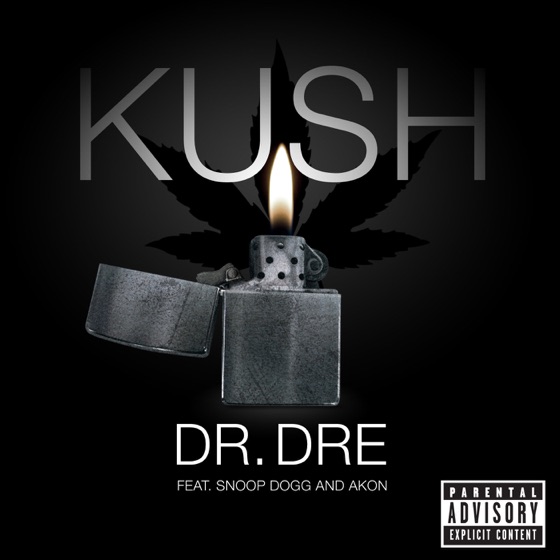 Cover artwork for Kush (feat. Snoop Dogg & Akon)