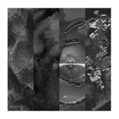 Siamese Anthology I - EP artwork