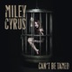 CAN'T BE TAMED cover art