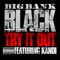 Try It Out (feat. Kandi) - Big Bank Black lyrics