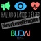 Hallod Látod Érzed (Budai Remix) - New Level Empire lyrics