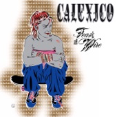 Calexico - Not Even Stevie Nicks...
