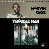 Trouble Man (Extended Version) artwork