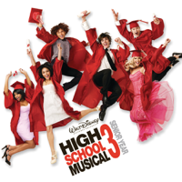 Various Artists - High School Musical 3: Senior Year (Music from the Motion Picture) artwork