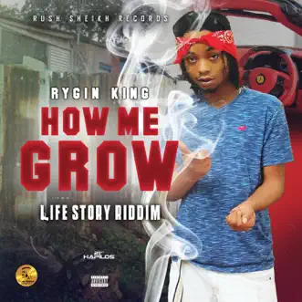 How Me Grow by Rygin King song reviws