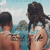 Touch Me (feat. JmaX) [Remix] artwork