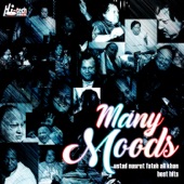 Many Moods (Best Hits) artwork