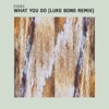 What You Do (Luke Bond Remix) - Single